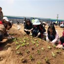 대한농장2 이미지