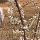 미선 식당 이미지