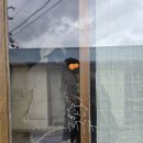 카페U | J E J U 제주 MYA 카페 후기｜고양이 있는 제주 서쪽 감성 카페, 말차 케이크 맛집