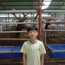 평동농장 이미지