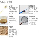 낚시매점 이미지