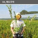 남부농자재 Daum카페