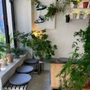 턴어라운드 | [부산전포카페]｜커피와 식물이 공존하는 공간 턴어라운드 후기