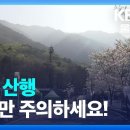 봄철산행 이것만은 꼭... 이미지