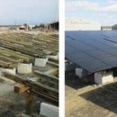 MS태양광발전소 이미지