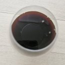 예진식품 칡즙 솔직후기: 갱년기 건강부터 혈압 관리까지, 2+1 가성비 혜택 총정리