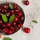 11650-7-12-4 이미지