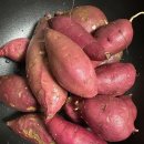 반려견 수제 간식 만들기 이미지