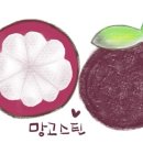 망고스틴