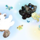 Dream Cat (드림캣) 이미지