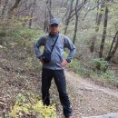 금강(부산) 이미지