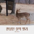 겨울 강원도 고성 여행 켄싱턴리조트 설악밸리 프리미어 로잔 후기