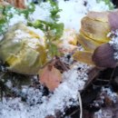 그때그기펜션 이미지