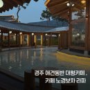 라파 - 달성군 | 경주 대형카페 노경보차라파 후기 (애견동반 가능)