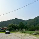 가리산필례펜션 | 조용하고 힐링하기 최적화 강원도 인제여행 가리산계곡 가리산필례펜션 &amp;필례식당 방문후기