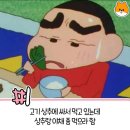 6월8일 목요일 오늘의운세 이미지