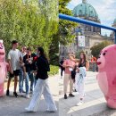 벨리스크린 이미지