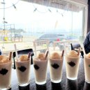 거북애견 이미지