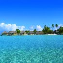 환상의섬 이미지