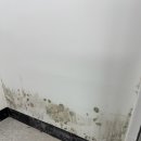 죽산중고등학교 이미지