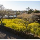 성읍민속마을 이미지