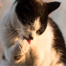 울산 이승진동물병원 이미지