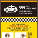 파트너펫 네이버블로그