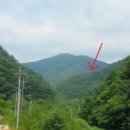 무릉도원면-33 이미지