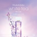 화이트오 이미지