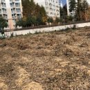 읍내9리 마을회관 이미지