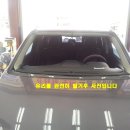 태백자동차유리 이미지