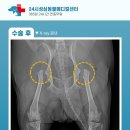 성심동물의료센터 이미지