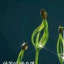 회만당 이미지