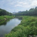 수인당구장 이미지