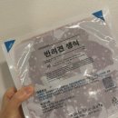 어 페일 블루닷 이미지