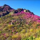 봄꽃산행, (진달래,벚꽃) 개화시기 -한국의 산하 추천- 이미지