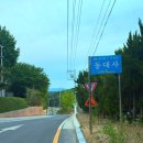 연등 | 대구 동대사 연등축제 야경 후기 점등시간 주차정보