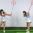 하프로 스크린골프 이미지