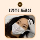 대세통상 | [양주] 옥정눈썹 양주눈썹 양주 포포샵 헤어스트록 눈썹 일자눈썹 안녕!,이젠 아치형이 대세?!?