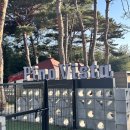 보령애견동반펜션 피노비스타 | 숙소, 충남 보령 대천해수욕장 근처 피노비스타 애견펜션