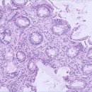 24시 코끼리동물의료센터 이미지