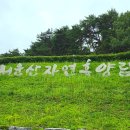 ㈜오토가이드 센터 | 안성 서운산 자연휴양림 캠핑 후기 - 데크정보