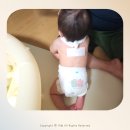 따듯한오후 낮잠소리 이미지