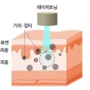 동안미소의원 이미지