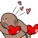 곽우철 복싱 여서문수점 이미지