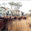 에그머니나 이미지