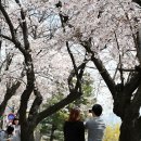 세일마트 네이버블로그