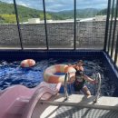 온리원 키즈풀빌라 이미지