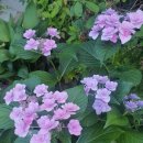 온양작은도서관 이미지