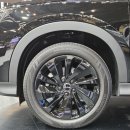 금호네트웍스 | BYD 씨라이언6 DM-i 3,750만원｜사전예약 가능 !